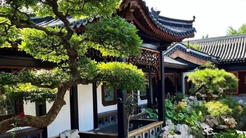 中国女排比赛怎么看?从轮转到攻防节奏的观赛指南